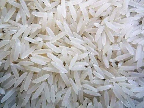 SHARBATI WHITE SELLA NON BASMATI RICE